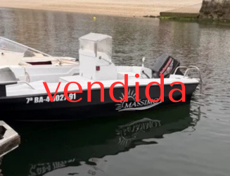 Planeadora 5m con motor 40cv NEGOCIABLE